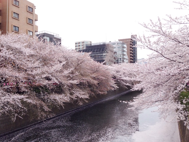 f:id:rie141:20150404203246j:plain f:id:rie141:20150404203246j:plain