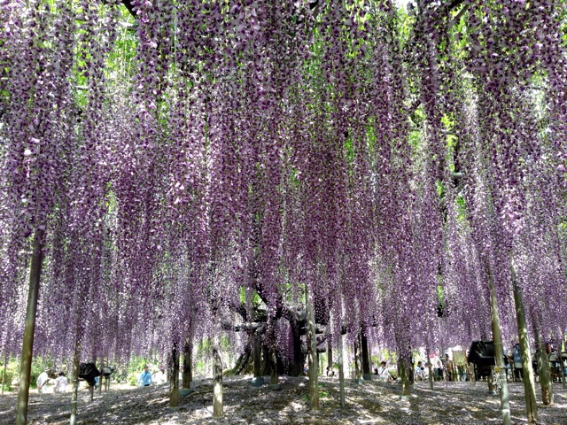 f:id:rie141:20150507013934j:plain f:id:rie141:20150507013934j:plain