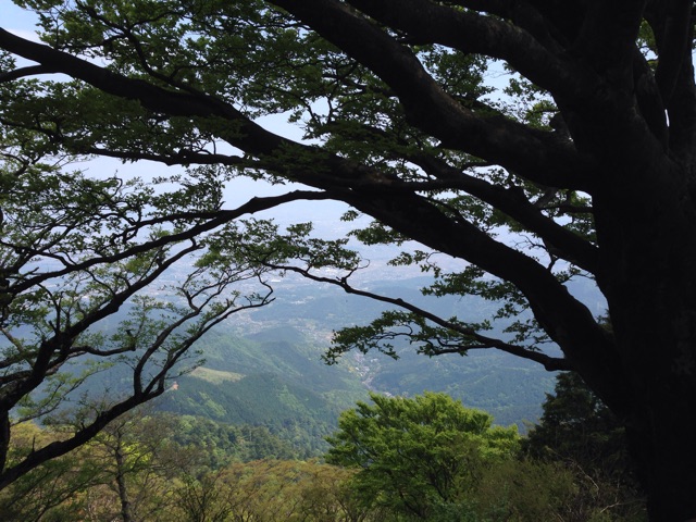 f:id:rie141:20150510184128j:plain f:id:rie141:20150510184128j:plain