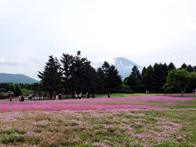 f:id:rie141:20150524003406j:plain f:id:rie141:20150524003406j:plain