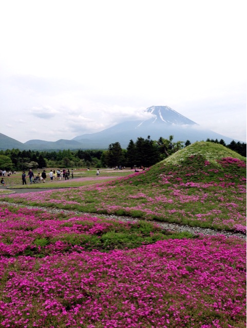 f:id:rie141:20150524004419j:plain f:id:rie141:20150524004419j:plain