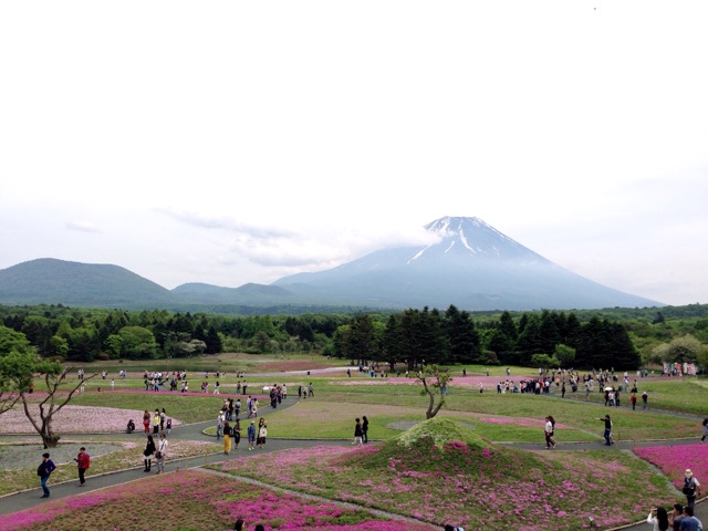 f:id:rie141:20150524004456j:plain f:id:rie141:20150524004456j:plain