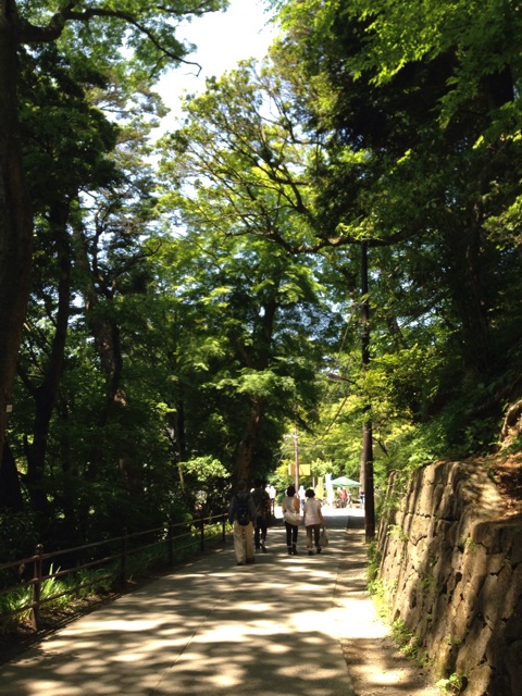 f:id:rie141:20150531143936j:plain f:id:rie141:20150531143936j:plain