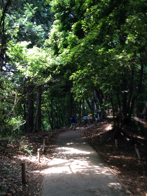 f:id:rie141:20150531175048j:plain f:id:rie141:20150531175048j:plain