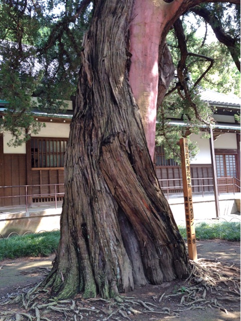 f:id:rie141:20150613235929j:plain f:id:rie141:20150613235929j:plain
