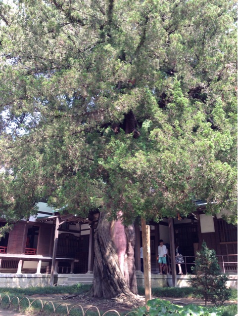 f:id:rie141:20150614000054j:plain f:id:rie141:20150614000054j:plain