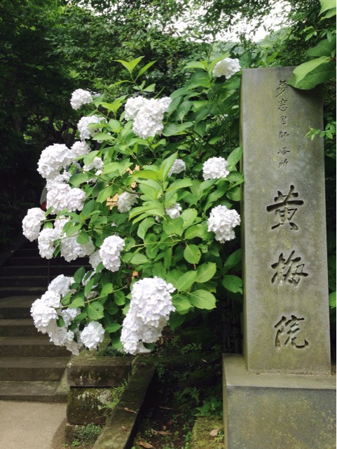 f:id:rie141:20150614000549j:plain f:id:rie141:20150614000549j:plain