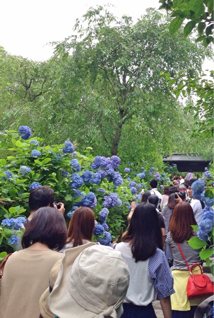 f:id:rie141:20150614001402j:plain f:id:rie141:20150614001402j:plain