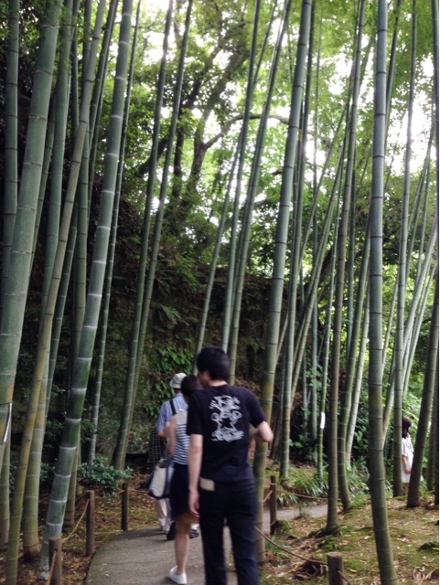 f:id:rie141:20150614002714j:plain f:id:rie141:20150614002714j:plain