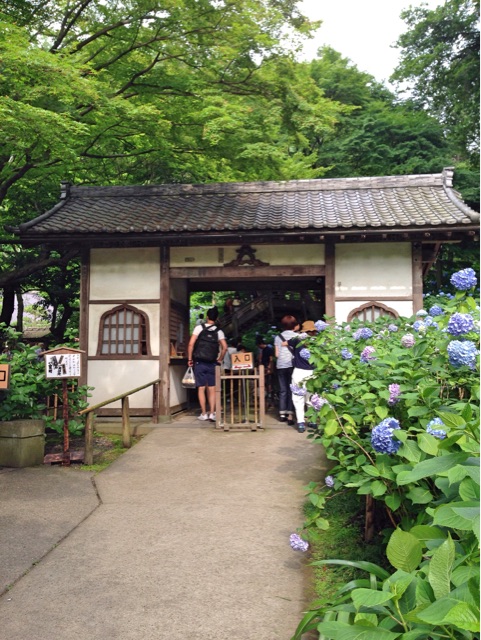 f:id:rie141:20150614222527j:plain f:id:rie141:20150614222527j:plain