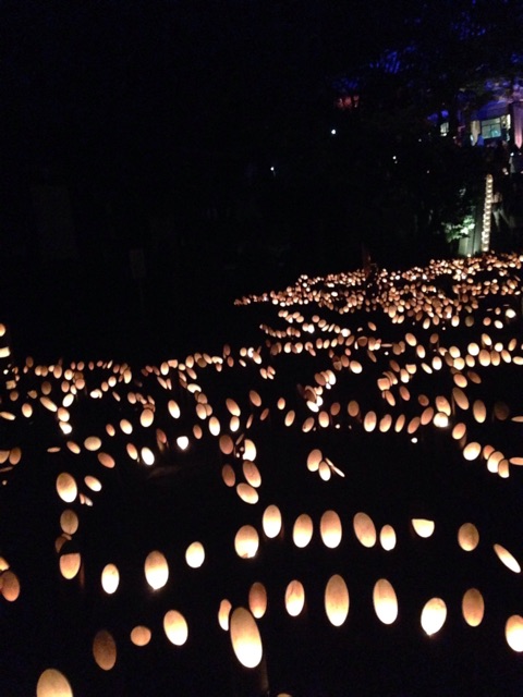 f:id:rie141:20150802030224j:plain f:id:rie141:20150802030224j:plain