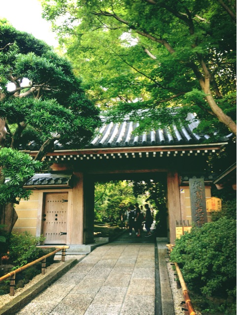 f:id:rie141:20150815214544j:plain f:id:rie141:20150815214544j:plain