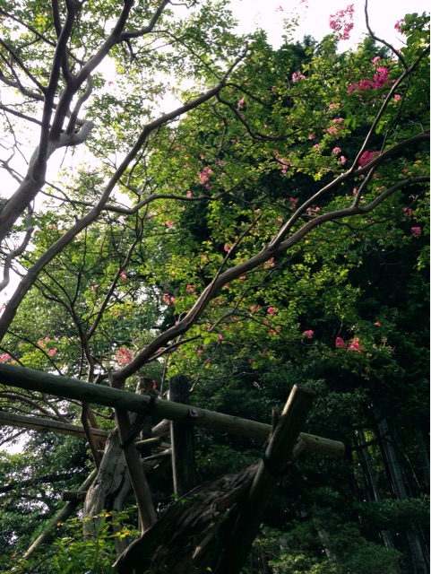 f:id:rie141:20150905202207j:plain f:id:rie141:20150905202207j:plain