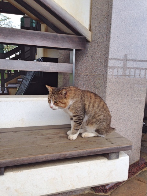 f:id:rie141:20150905203322j:plain f:id:rie141:20150905203322j:plain