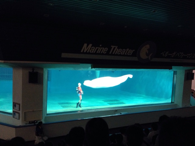 f:id:rie141:20150923213126j:plain f:id:rie141:20150923213126j:plain