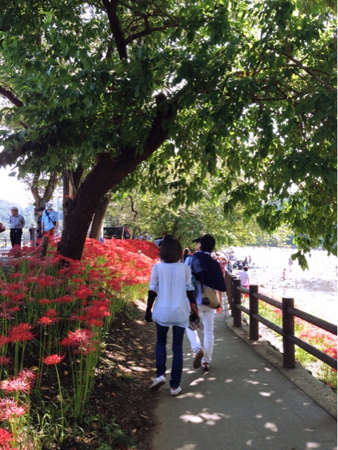 f:id:rie141:20150923221212j:plain f:id:rie141:20150923221212j:plain