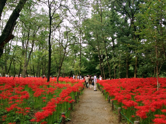 f:id:rie141:20150923221604j:plain f:id:rie141:20150923221604j:plain