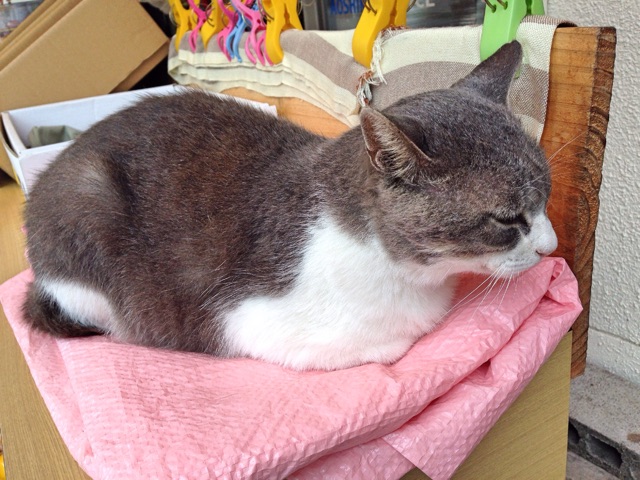 f:id:rie141:20151004221948j:plain f:id:rie141:20151004221948j:plain