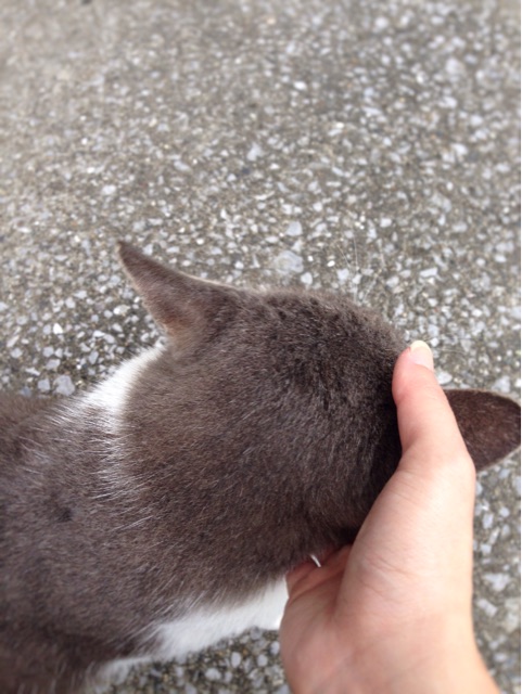 f:id:rie141:20151004222049j:plain f:id:rie141:20151004222049j:plain