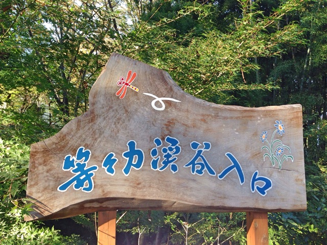 f:id:rie141:20151128223600j:plain f:id:rie141:20151128223600j:plain