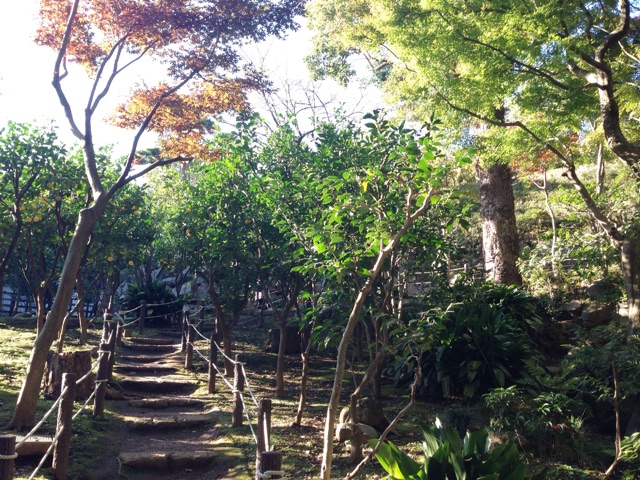 f:id:rie141:20151128225241j:plain f:id:rie141:20151128225241j:plain