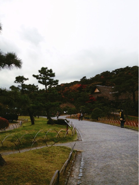 f:id:rie141:20151206195309j:plain f:id:rie141:20151206195309j:plain