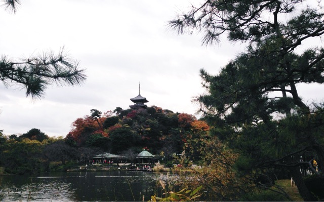 f:id:rie141:20151206195331j:plain f:id:rie141:20151206195331j:plain