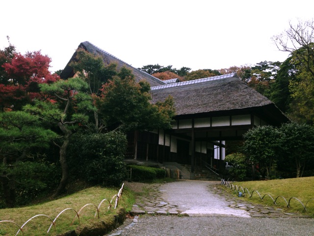 f:id:rie141:20151206195408j:plain f:id:rie141:20151206195408j:plain