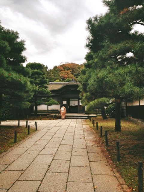 f:id:rie141:20151206201033j:plain f:id:rie141:20151206201033j:plain