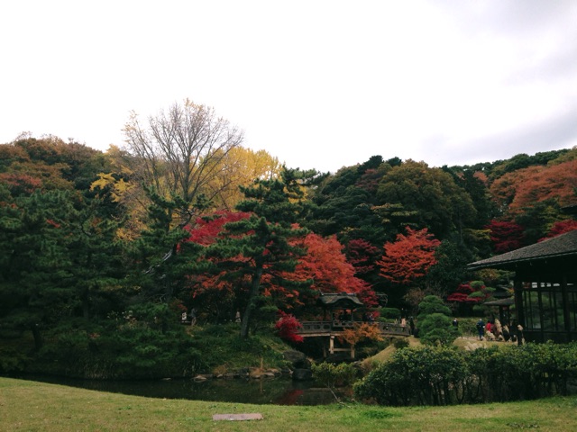 f:id:rie141:20151206201054j:plain f:id:rie141:20151206201054j:plain