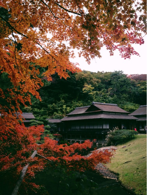 f:id:rie141:20151206201305j:plain f:id:rie141:20151206201305j:plain