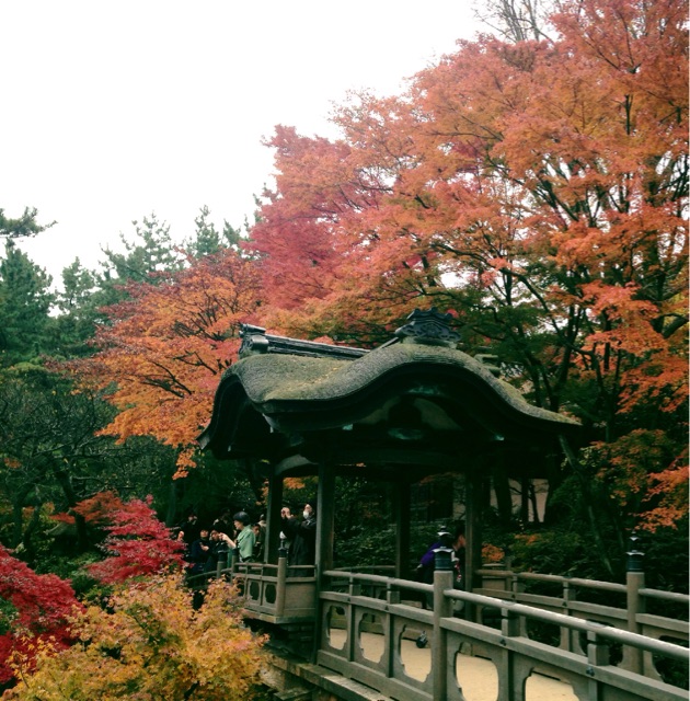 f:id:rie141:20151206201535j:plain f:id:rie141:20151206201535j:plain