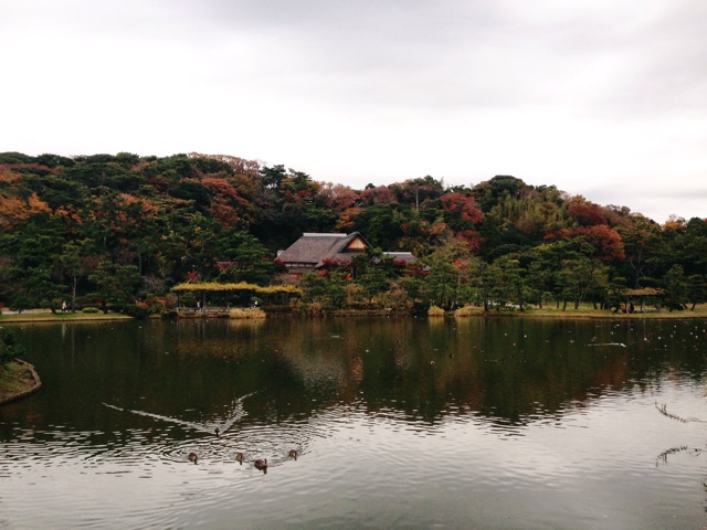 f:id:rie141:20151206202906j:plain f:id:rie141:20151206202906j:plain