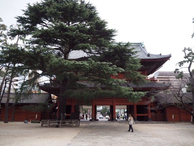 f:id:rie141:20151227175543j:plain f:id:rie141:20151227175543j:plain