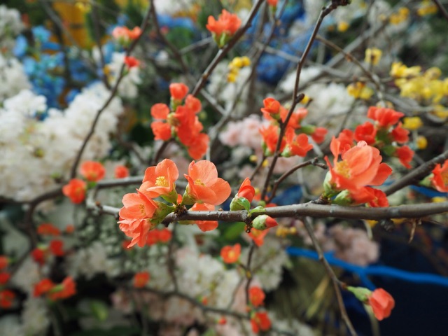 f:id:rie141:20151231005327j:plain f:id:rie141:20151231005327j:plain