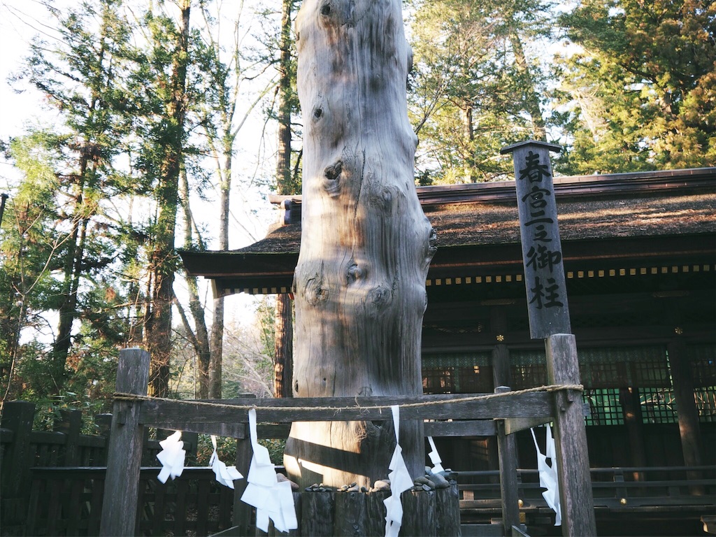 f:id:rie141:20160327204241j:image f:id:rie141:20160327204241j:image