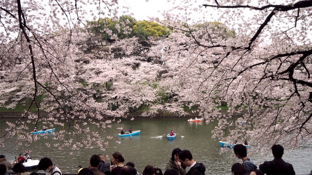 f:id:rie141:20160403191944j:image f:id:rie141:20160403191944j:image