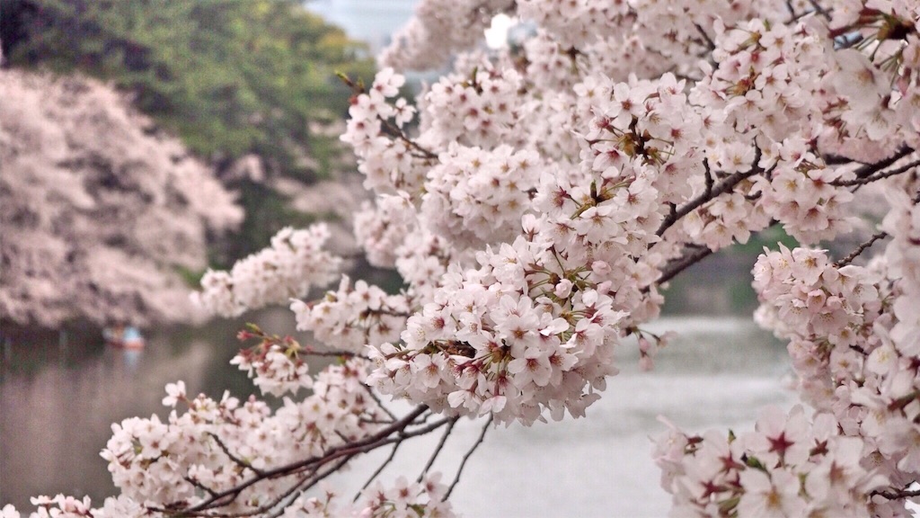 f:id:rie141:20160403192316j:image f:id:rie141:20160403192316j:image