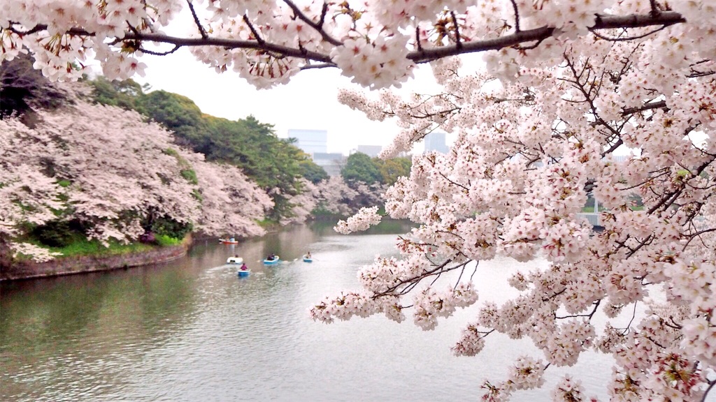 f:id:rie141:20160403192337j:image f:id:rie141:20160403192337j:image