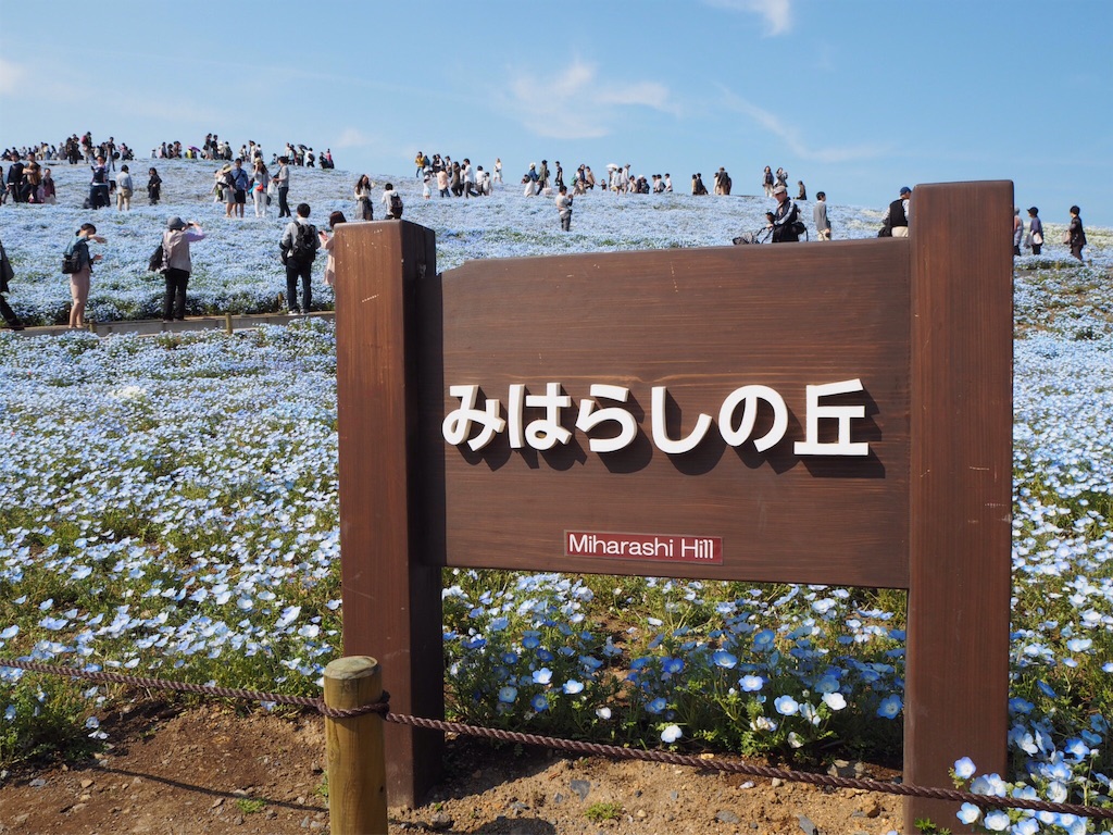 f:id:rie141:20160424011231j:image f:id:rie141:20160424011231j:image