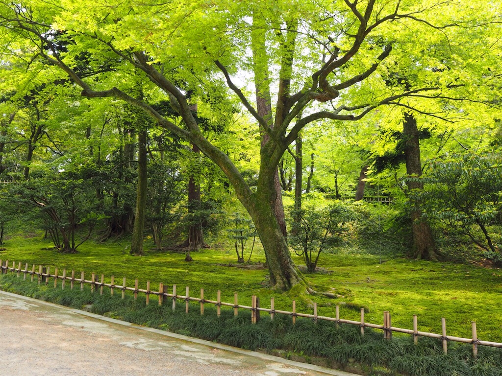 f:id:rie141:20160507213057j:image f:id:rie141:20160507213057j:image
