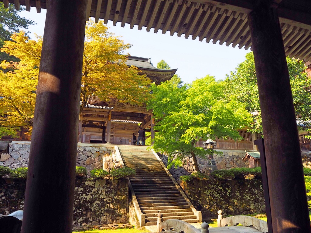 f:id:rie141:20160522173923j:image f:id:rie141:20160522173923j:image