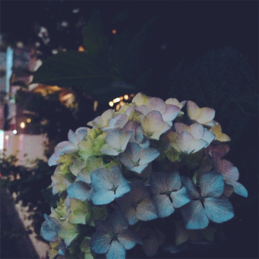 f:id:rie141:20160530201043j:image f:id:rie141:20160530201043j:image