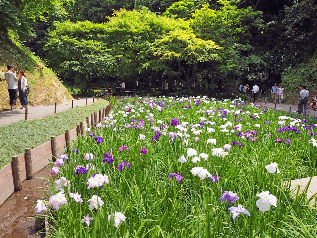 f:id:rie141:20160613204206j:image f:id:rie141:20160613204206j:image