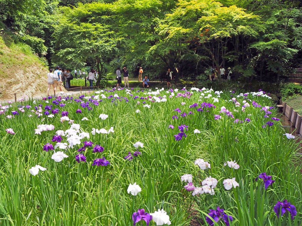 f:id:rie141:20160613204253j:image f:id:rie141:20160613204253j:image