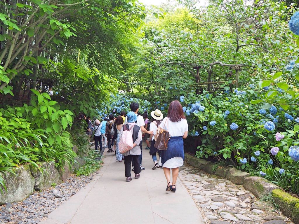 f:id:rie141:20160613224732j:image f:id:rie141:20160613224732j:image