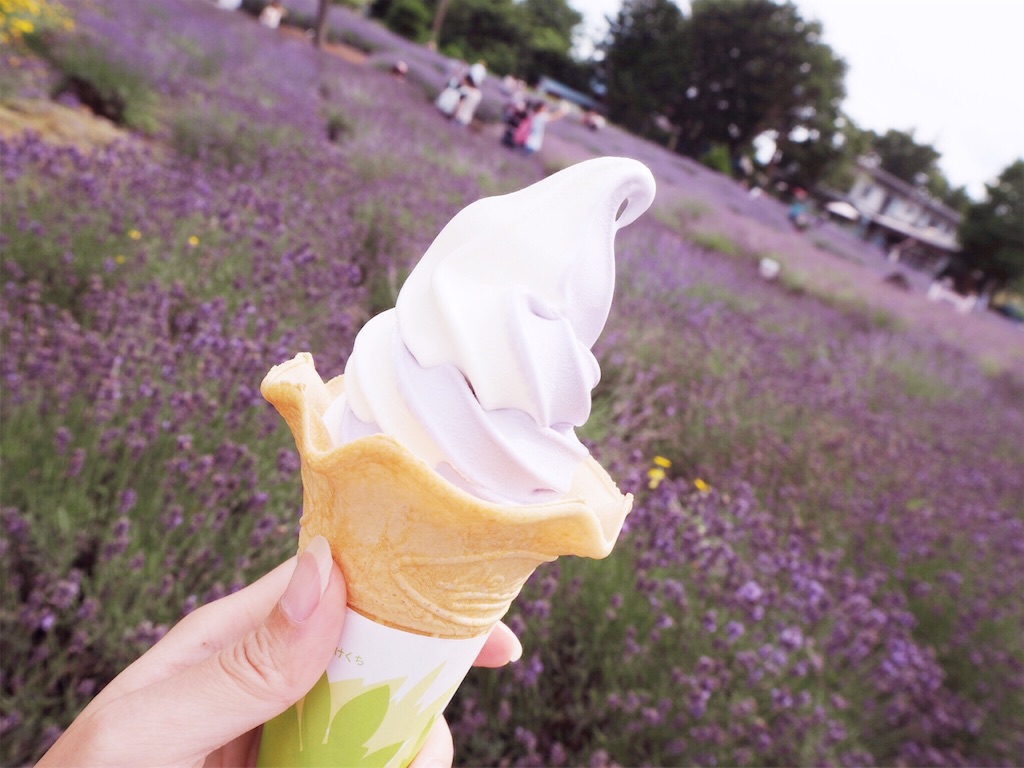 f:id:rie141:20160718141608j:image f:id:rie141:20160718141608j:image