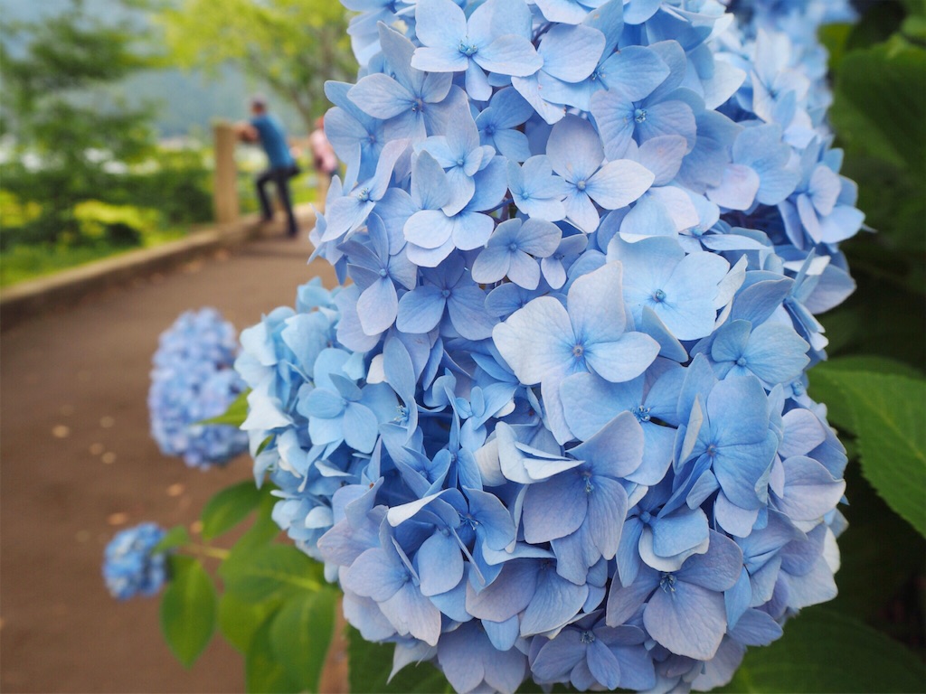 f:id:rie141:20160718142243j:image f:id:rie141:20160718142243j:image