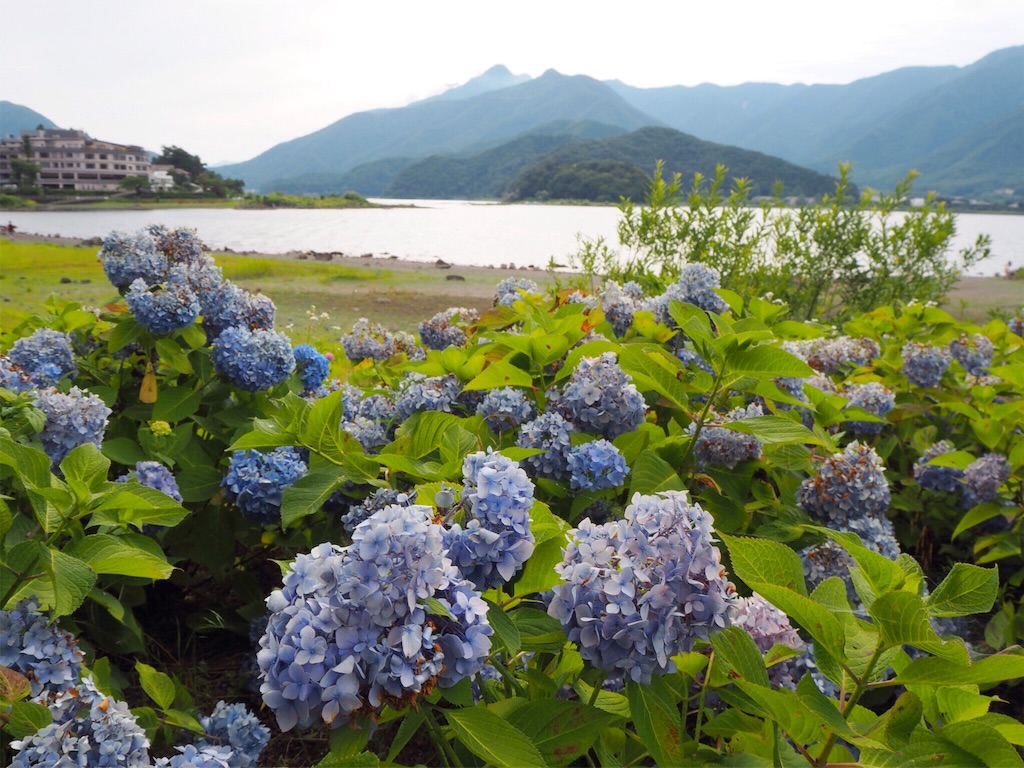 f:id:rie141:20160718142435j:image f:id:rie141:20160718142435j:image
