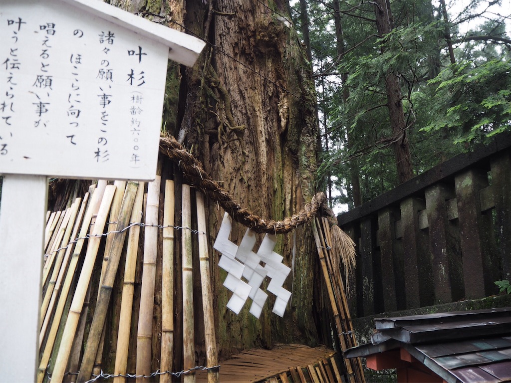 f:id:rie141:20160718233211j:image f:id:rie141:20160718233211j:image